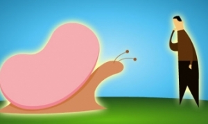 Feline Kidney Dialysis value