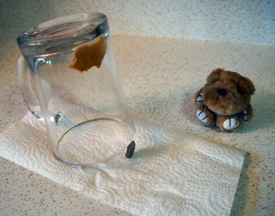 heavy wide-mouth glass jar or cup is propped-up in the edge of a nickle