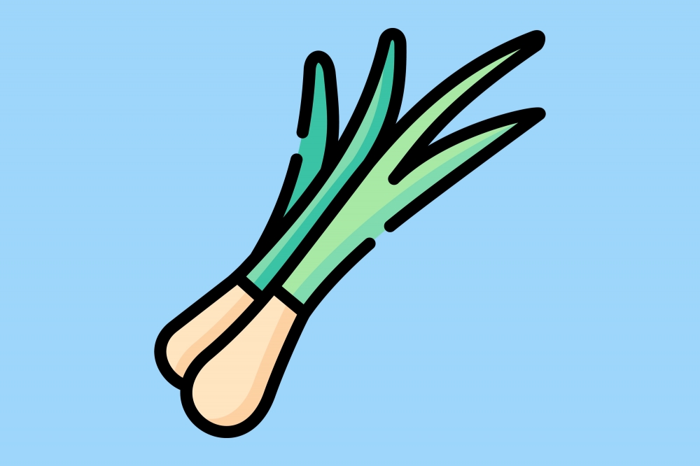 Spring Onion 12 Amazing Health Benefits of the Most Underrated Vegetable