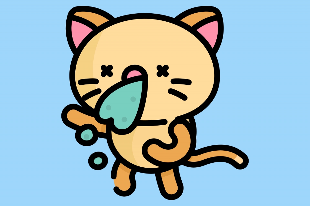 The Five Best Expert Veterinarian Tips on What to Do When Your Cat Has