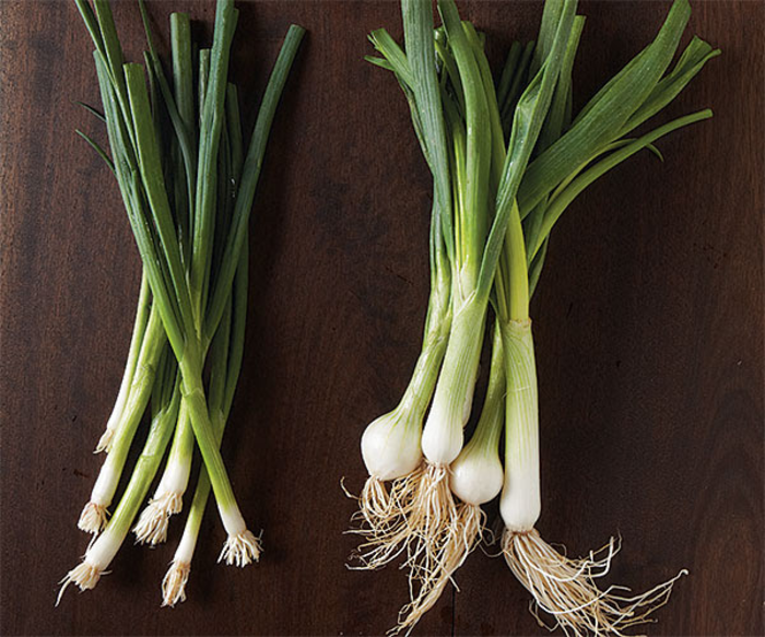 Spring Onion 12 Amazing Health Benefits of the Most Underrated Vegetable